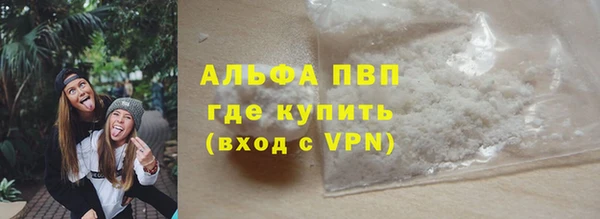 амф Новодвинск