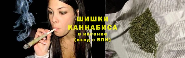 амф Новодвинск