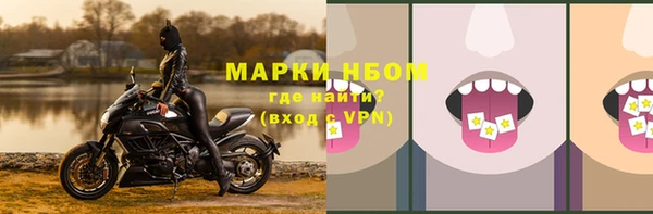 амф Новодвинск