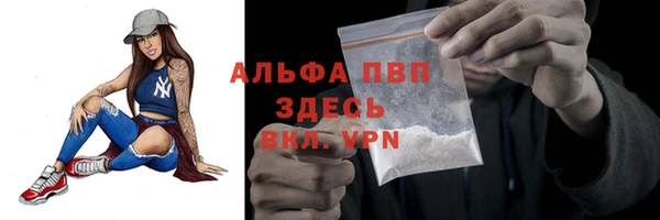 амф Новодвинск