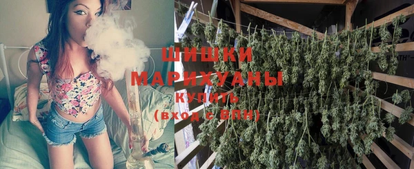 амф Новодвинск