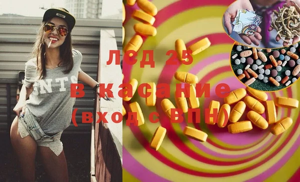 винт Новозыбков