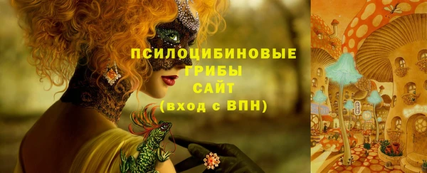 винт Новозыбков