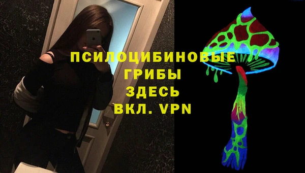 амф Новодвинск